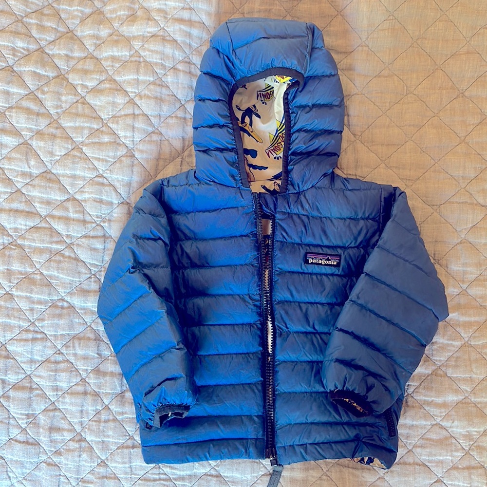 Toddler Boys Patagonia Reversible Down Jacket